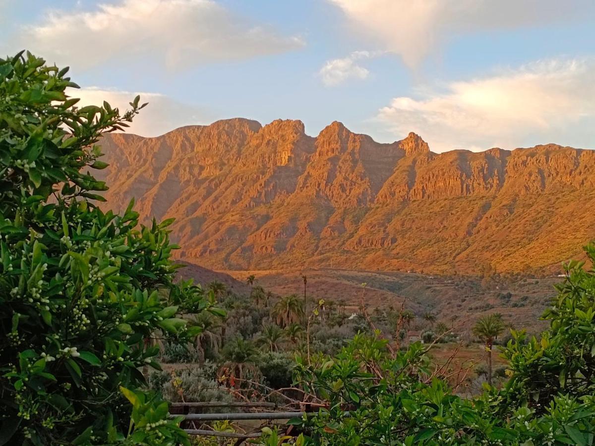 فيلا Django Santa Lucia المظهر الخارجي الصورة